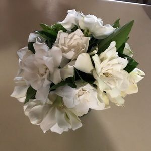 Meet your Posher, Barbara